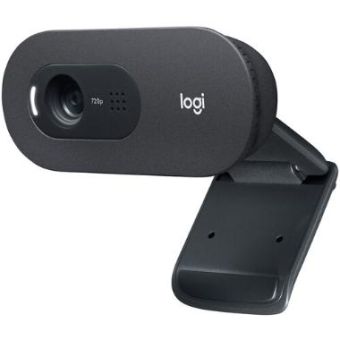 Logitech C505e HD WebCam - 960-001385