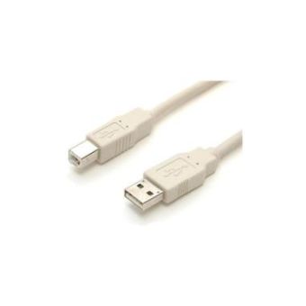 StarTech 6 ft Beige A to B USB Cable - M/M - 6ft A to B USB 2.0 Cable - USBFAB_6