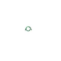 Lenovo 00WE139 Cat 6 Network Cable 3m Green