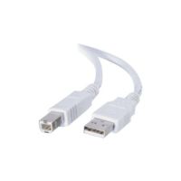 C2G 9.8ft USB to USB B Cable - USB A to USB B - USB 2.0 - White - M/M - 13400