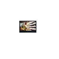 43" Orion Full HD IP Pvm LED Public View Monitor 5MP Built-In Camera 43IPHPVM