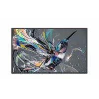 Philips Q-Line Display 50" Monitor for Digital Signage (50BDL3650Q/00)