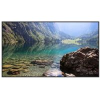 Hisense 55WH80F 55" UHD 4K HDR Window-Facing High-Brightness Commercial Monitor