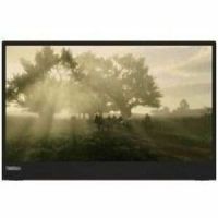 Lenovo 62CAUAR1UZ M15A21156FX0 15.6inch MonitorType C