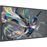 Philips 75BDL3650Q/00 Signage Solutions Q-Line Display 75BDL3650Q/00