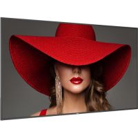 Philips 86BDL4650D/00 D-Line Display Series 86" UHD 4K Commercial Monitor