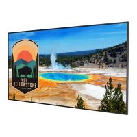 Planar Systems 998-3474-00 Simplicity Series SLM432 43" UHD 4K Commercial Monitor