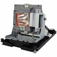 BATTERY TECHNOLOGY BL-FU310B-BTI REPLACEMENT LAMP FOR OPTOMA EH500,X600,REPLACES BL-FU310B,DE.5811118436