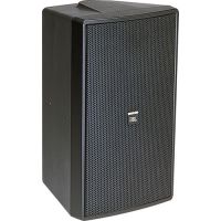 JBL C29AV-1 Control 29AV-1 8" 2-Way 300W Indoor/Outdoor Loudspeaker (Single, Black)