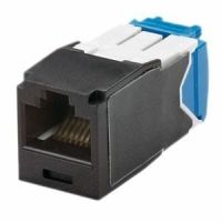 PANDUIT CORP CJ688TGBL-24 24PK MINI COM MOD CAT6 UTP 8 POS 8 WIRE