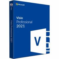 Microsoft D87-07619 Visio Professional 2021 - box pack - 1 PC