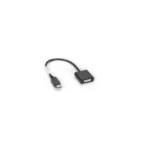 BLACK BOX EVNDPDVI-MF-R4 DISPLAYPORT TO DVI-D ADAPTER
