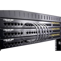 BLACK BOX EVNSL641-06IN CAT6 550-MHZ SNAGLESS STRANDED ETHERNET PATCH CABLE