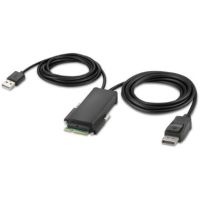 Belkin Modular DisplayPort Single-Head Host Cable (6') - F1DN1MOD-HC-P06