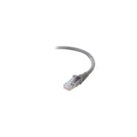 Belkin Cat6 1ft Grey Ethernet UTP Patch Cable, Snagless, Molded, RJ45, M/M, 1' - F2CP003-03BK-LS
