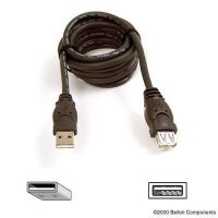 Belkin F3U134b06 USB-A to USB-A Cable - M/F - 480 Mbps - 6ft - USB Extension Cable
