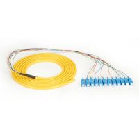 BLACK BOX FOPT50S1-SC-12YL-3 NETWORK CABLE - FIBER OPTIC - MALE LEFT GENDER - MALE RIGHT GENDER - SC RIGHT CO