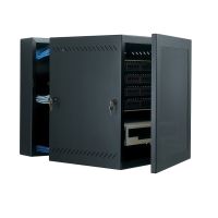Great Lakes GL24WM 12U Wall Mount Swing Out Enclosure GL24WM