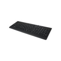 Lenovo GX30M39655 300 - keyboard - US Input Device