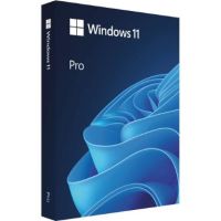 Microsoft HAV-00162 Windows 11 Pro (64-Bit, USB Flash Drive)