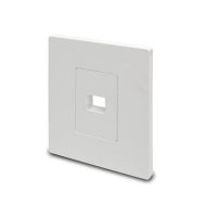 EATON TRIPP LITE SERIES N080-101 1-PORT KEYSTONE SINGLE-GANG FACEPLATE, WHITE, TAA