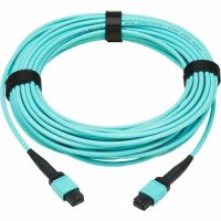 TRIPP LITE SERIES N844A-10M-8-P 40/100/400G MMF 50/125 OM3 FIBER OPTIC CABLE 8F MPO/MPO-PC F/F