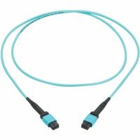 Tripp Lite N845A-01M-12TAA - Fiber Optic Cable - 1 m - OM4 - 12 Fiber - Multimode - Type A Polarity - Aqua - TAA Compliant