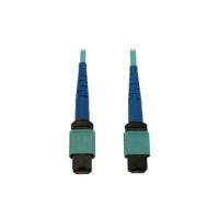 EATON TRIPP LITE SERIES N846B-25M-24-P 40/100/400G MULTIMODE 50/125 OM3 FIBER OPTIC CABLE