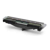 Zebra P1117258-036 - printhead