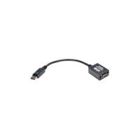 Eaton Tripp Lite Series P134-06N-VGA 6in DisplayPort to VGA Adapter Active Converter DP to VGA M/F 6" - display adapter - 15.2 cm