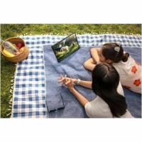 SAMSUNG SM-X710NZAAN20 Galaxy Tab S9 8+128GB Wi-Fi Gray Tablet  