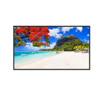 Panasonic 50" TH-EQ2 Series UHD 3840x2160 4K Commercial Monitor TH-50SQ2HW