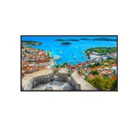 Panasonic Series Class 4K UHD IPS LED Professional Display TH-98CQE1W