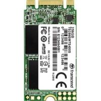 Transcend TS256GMTS430S MTS430S - SSD - 256 GB - SATA 6Gb/s