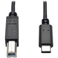 Tripp Lite U040-006 USB 2.0 Type B to USB Type C (USB-C) M M Hi-Speed Cable, Black, 6ft