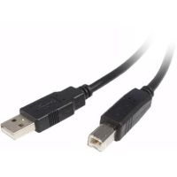 StarTech USB 2.0 Type-A to Type-B Male Cable (10') - USB2HAB10