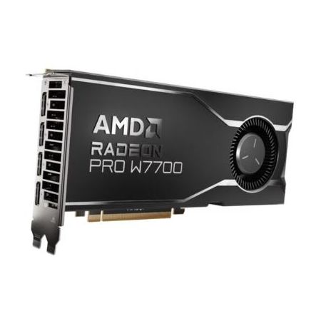 AMD Radeon Pro W7700 Professional Graphics Card - 100-300000006