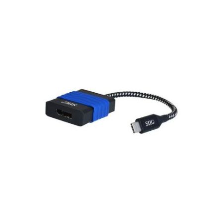 SIIG USB Type-C to DisplayPort Video Cable Adapter - external video adapter - Parade PS176 - black - CB-TC0214-S1