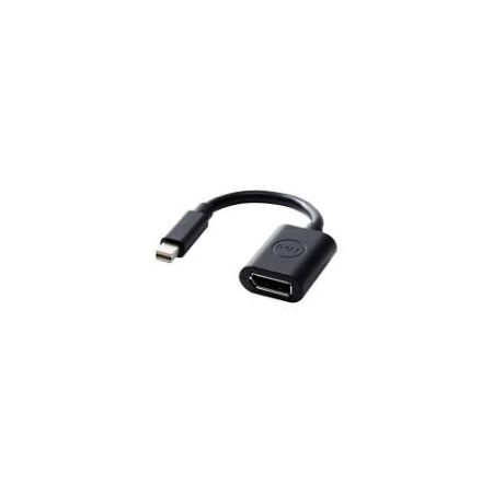 Dell Mini DisplayPort-to-DisplayPort - DisplayPort adapter - 8 in - DAYANBC084