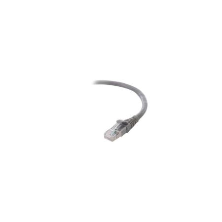 Belkin Cat6 1ft Grey Ethernet UTP Patch Cable, Snagless, Molded, RJ45, M/M, 1' - F2CP003-03BK-LS