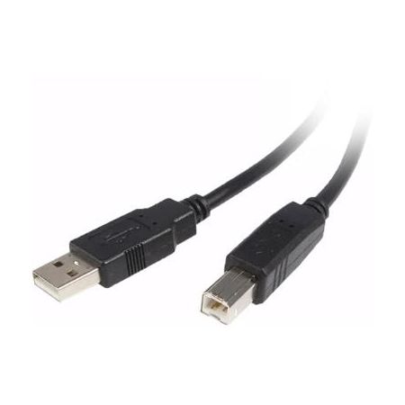 StarTech USB 2.0 Type-A to Type-B Male Cable (10') - USB2HAB10