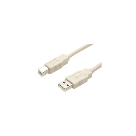 StarTech 10 ft Beige A to B USB 2.0 Cable - M/M -A to B USB 2.0 Cable - USBFAB_10