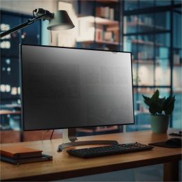 StarTech 25-inch 16:9 Computer Monitor Privacy Screen, Anti-Glare ...