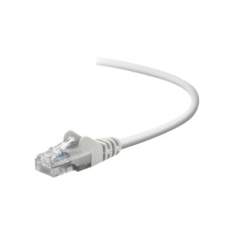 Belkin Ethernet 10Base-T Cable - Rj-45 (M) - Rj-45 (M) - 1 Ft - White - A3L791-01-WHT-S