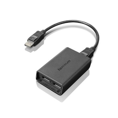 Lenovo 0B47092 DisplayPort to Dual-DisplayPort Monitor Cable USB cable USB A Black