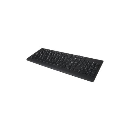 Lenovo GX30M39655 300 - keyboard - US Input Device